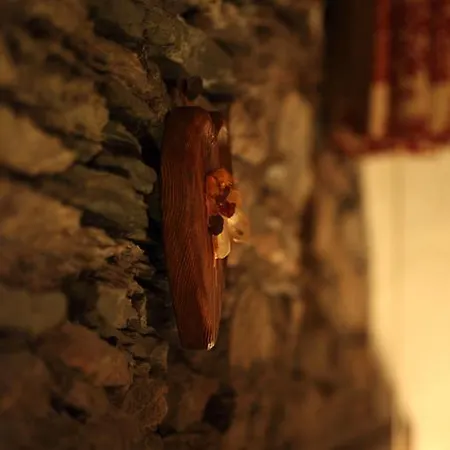 Eco Maison Dominique 3* 查兰德圣安塞尔