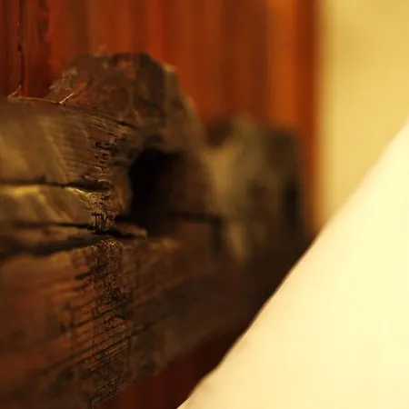 بيت ضيافة Eco Maison Dominique