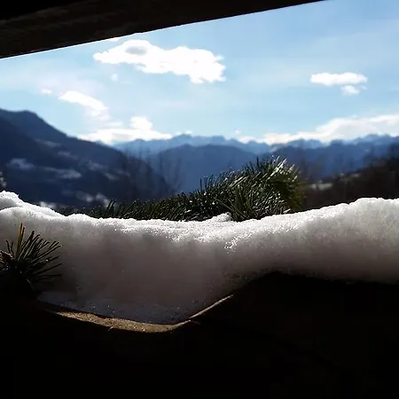 Eco Maison Dominique 招待所 3*