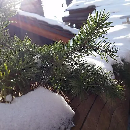 بيت ضيافة Eco Maison Dominique 3*