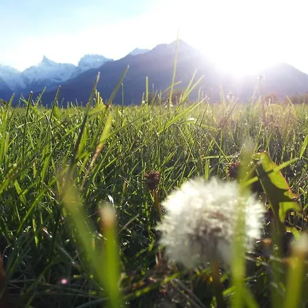 Eco Maison Dominique