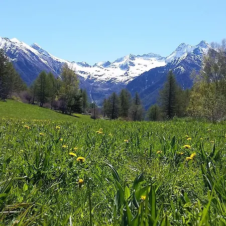 Eco Maison Dominique