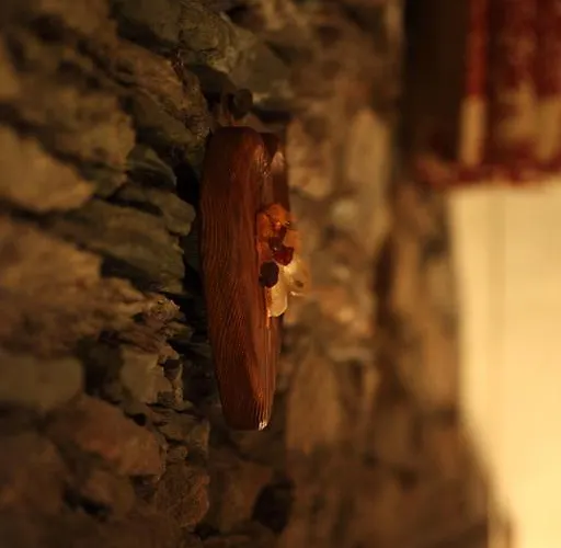 Eco Maison Dominique 3* Challand-Saint-Anselme