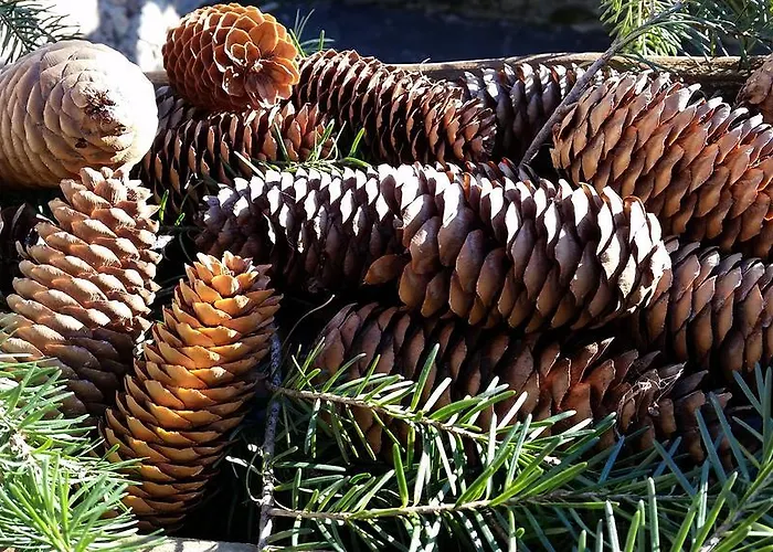 Eco Maison Dominique 3* Challand-Saint-Anselme