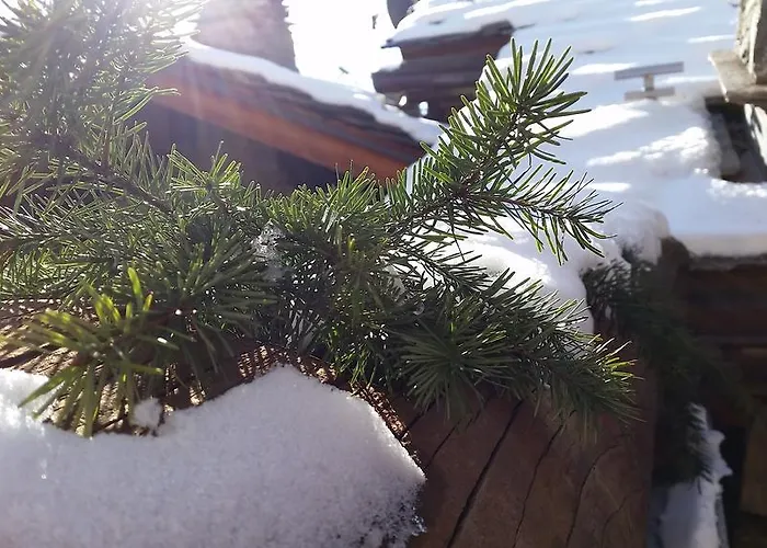 בית הארחה Eco Maison Dominique 3*