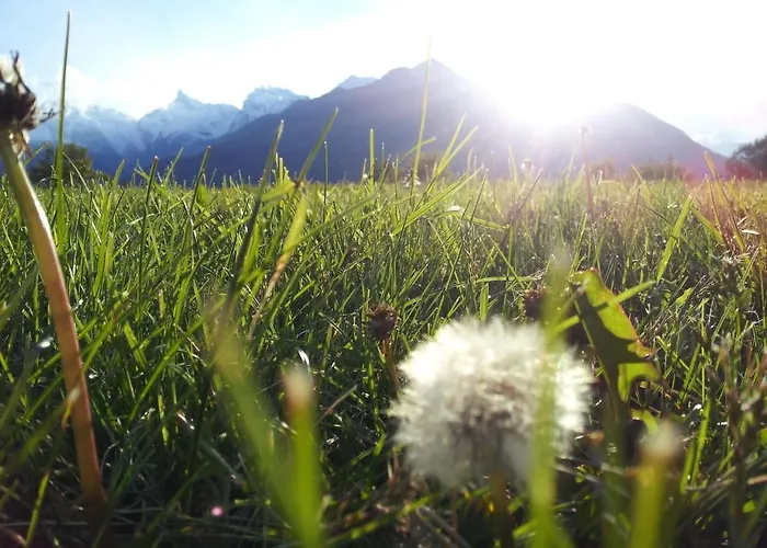 Eco Maison Dominique