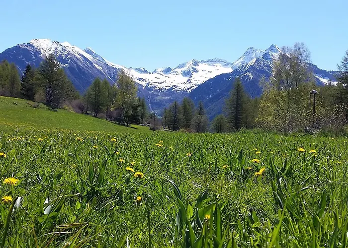 Eco Maison Dominique